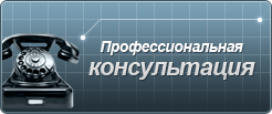 Профессиональная консультация